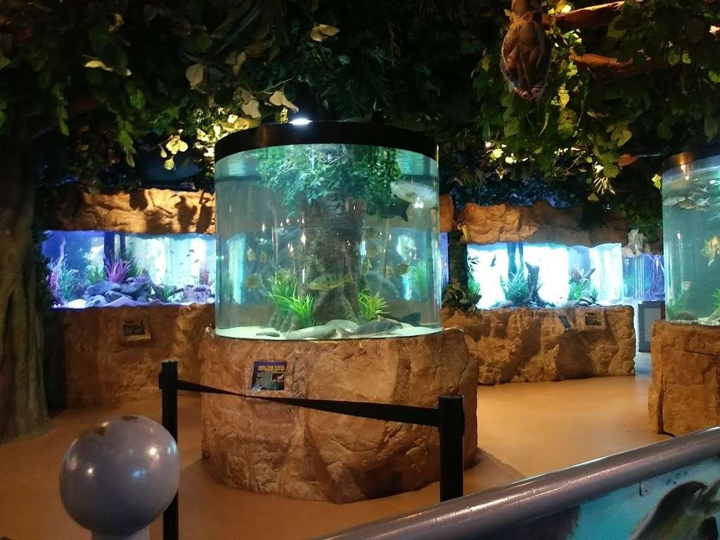 Aquarium Restaurant | Boardwalk #11, Kemah, TX 77565, USA | Phone: (281) 334-9010