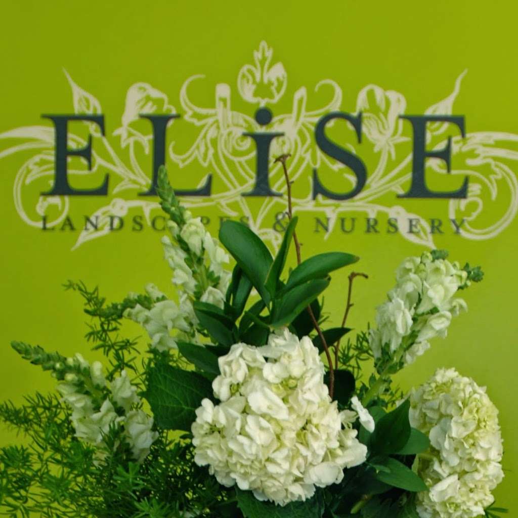 Elise Landscapes & Nursery LLC | 530 Old Stamford Rd, New Canaan, CT 06840, USA | Phone: (203) 966-3200