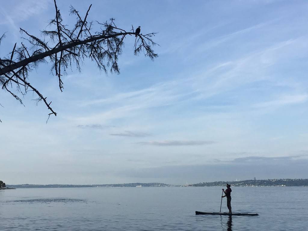 Ballard Kayak & Paddleboard Tours | 7901 Seaview Ave NW, Seattle, WA 98117, USA | Phone: (206) 494-3353