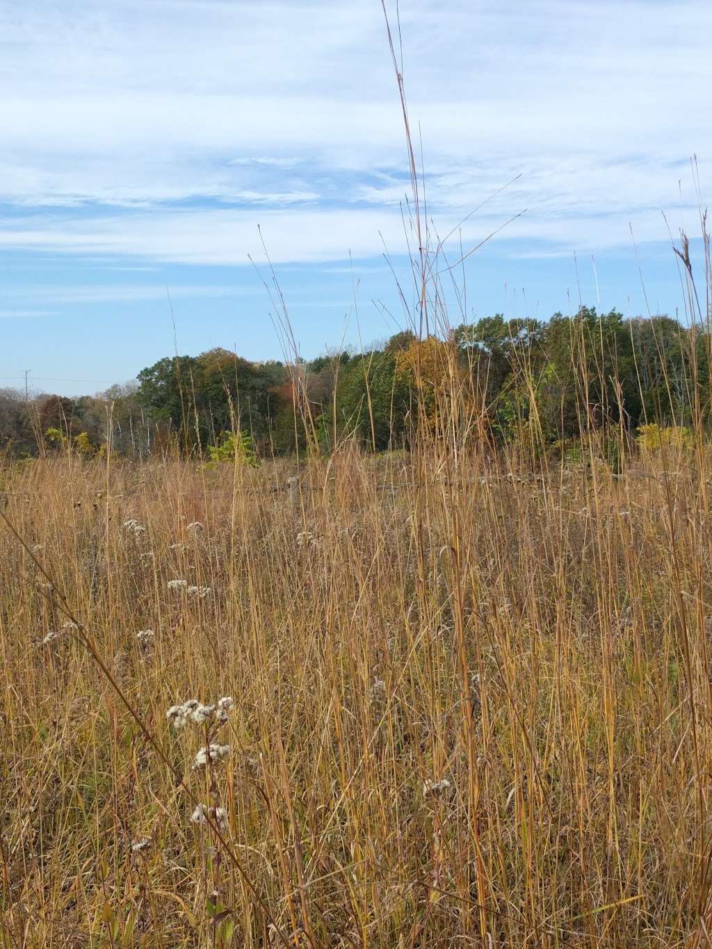 Skokie River Nature Preserve | Skokie Hwy, Lake Forest, IL 60045, USA | Phone: (847) 234-3880