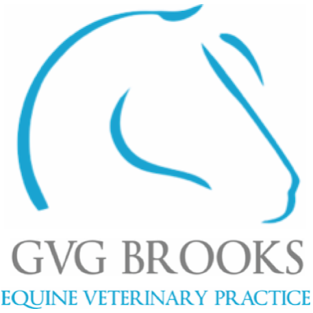 GVG Brooks Equine | B1-B2, The Courtyard Business Centre, Dovers Farm, Lonesome Ln, Reigate RH2 7QT, UK | Phone: 01737 246109