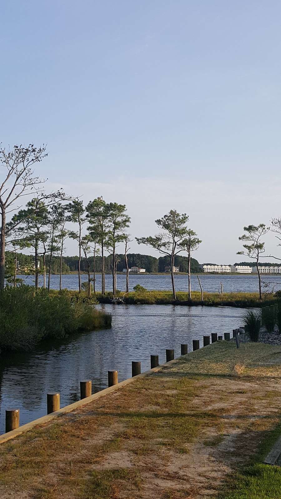 Natter Park | 719A Treetop Ln, Bethany Beach, DE 19930, USA