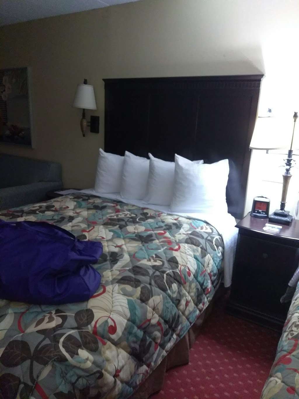 Castle in the Sand Hotel | 3701 Atlantic Ave, Ocean City, MD 21842, USA | Phone: (410) 289-6846