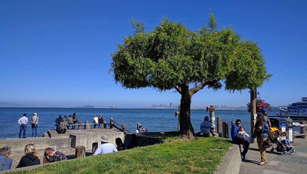 Yee Tock Chee Park | Sausalito, CA 94965