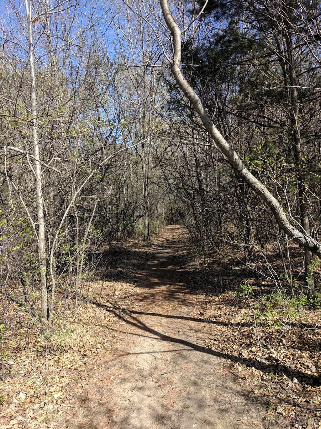 Anoka Ramsey Natural Area | Coon Rapids, MN 55433, USA | Phone: (763) 433-1100