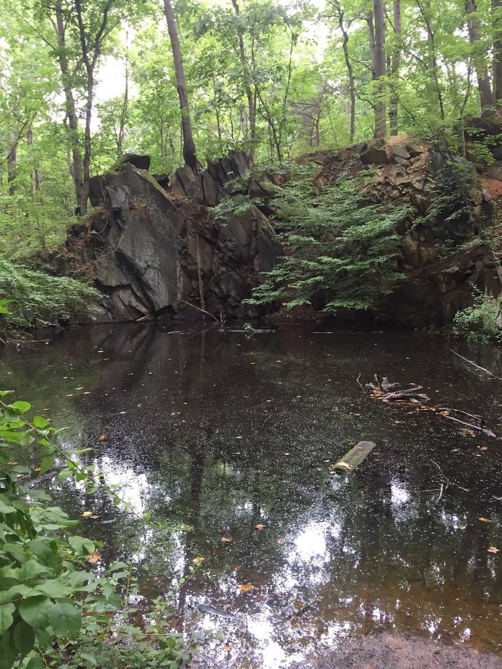 The Trails at Cowenton Ridge Park | Unnamed Road, Perry Hall, MD 21128, USA