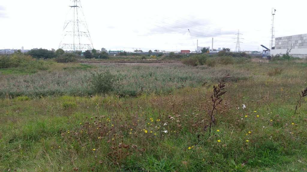 Barking Creek Park | River Rd, Barking IG11 0EG, UK