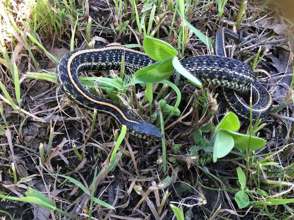 Orland Grassland | 167th Street & S La Grange Road, Tinley Park, IL 60487, USA | Phone: (708) 220-9596