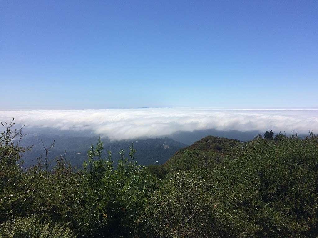 Mt. Tamalpais State Park Visitor Center | Mill Valley, CA 94941, USA