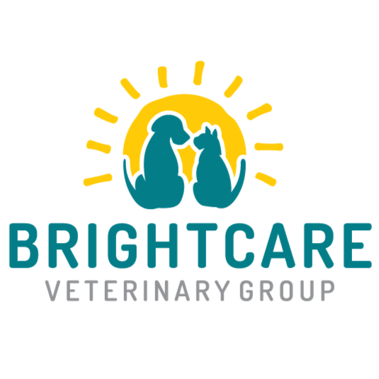 BrightCare Animal Neurology and Imaging | 26012 Marguerite Pkwy o, Mission Viejo, CA 92692, USA | Phone: (949) 716-9270