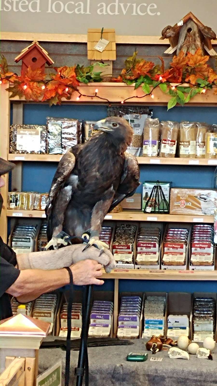 Wild Birds Unlimited | 4251 Tilghman St, Allentown, PA 18104, USA | Phone: (610) 366-1725