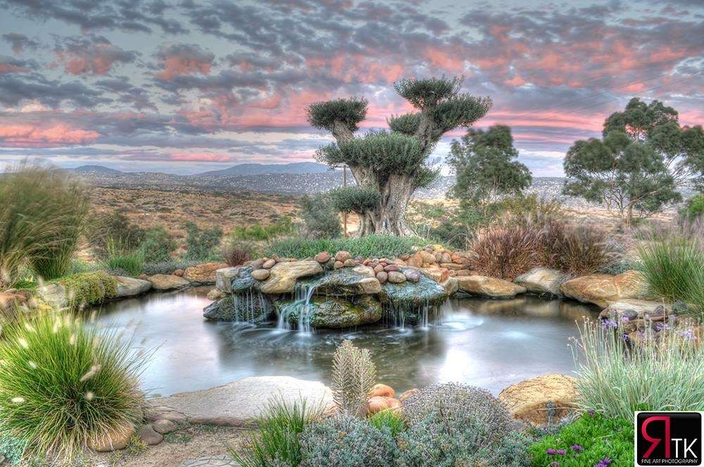 The Pond Solution | 2233 Rainbow Valley Blvd, Fallbrook, CA 92028, USA | Phone: (888) 952-5327