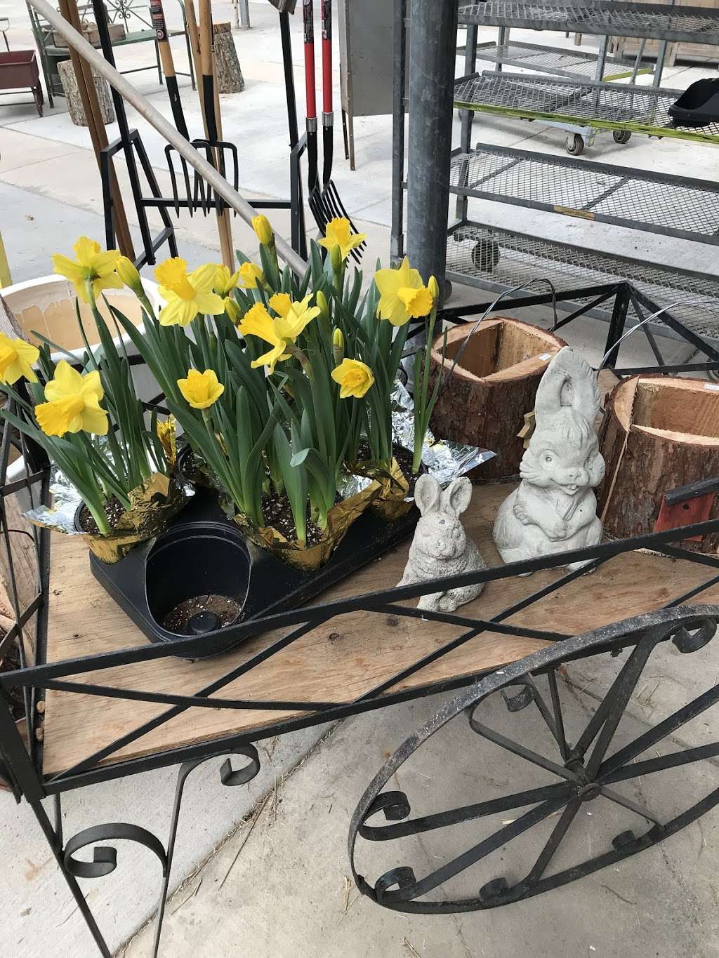 Redmonds Garden Center | 1360 US-206, Tabernacle, NJ 08088, USA | Phone: (609) 268-1018