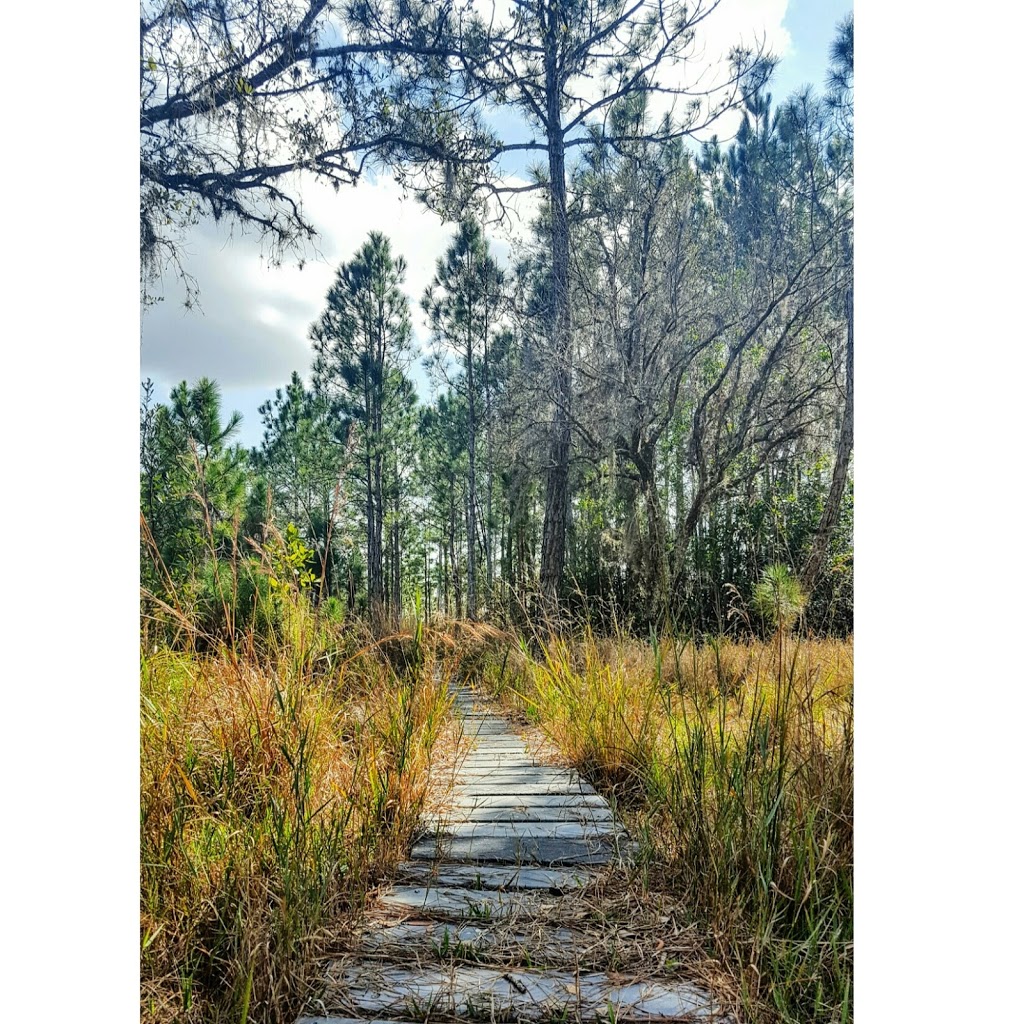 Nature Conservancy | 2700 Scrub Jay Trail, Poinciana, FL 34759, USA | Phone: (407) 935-0002