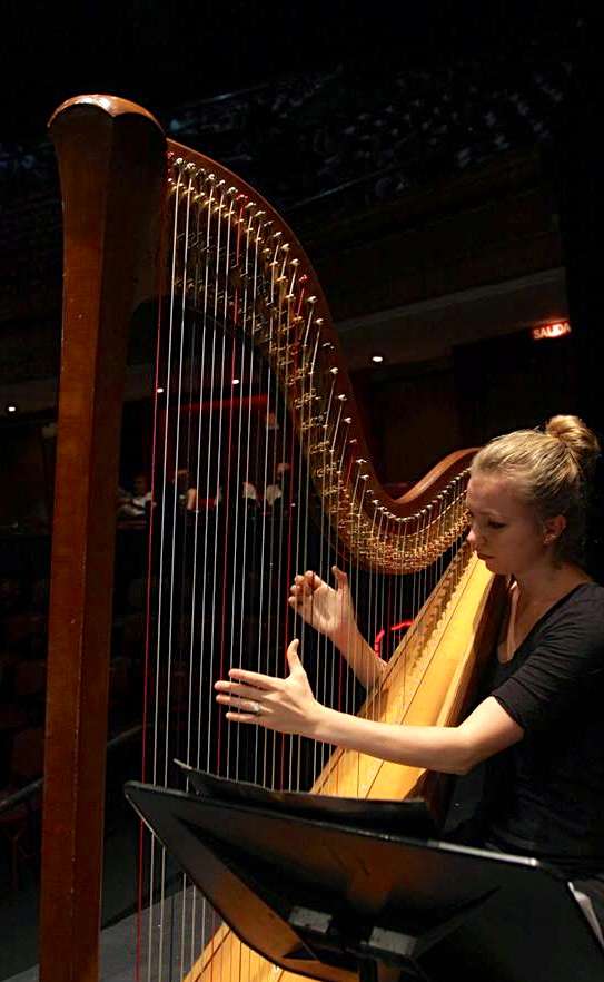 Stephanie Gustafson, Houston Harpist | 1135 Walling St, Houston, TX 77009, USA | Phone: (847) 254-0419