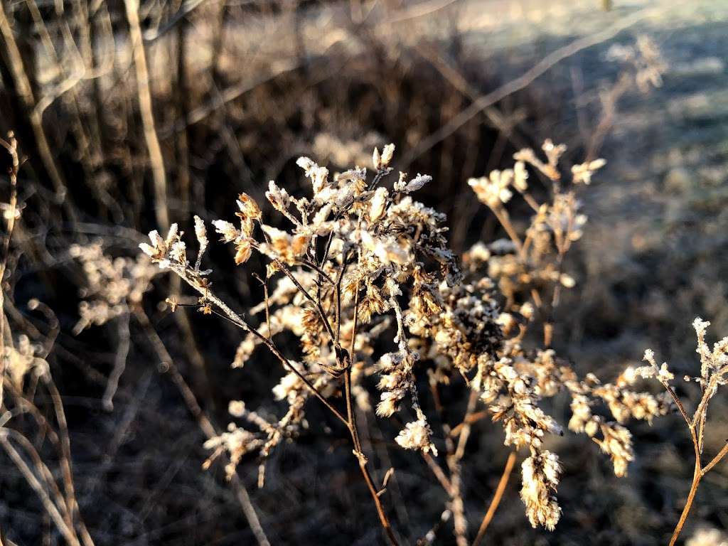 Green Hill Rd Trailhead - Zacharias Creek trail | Lansdale, PA 19446, USA