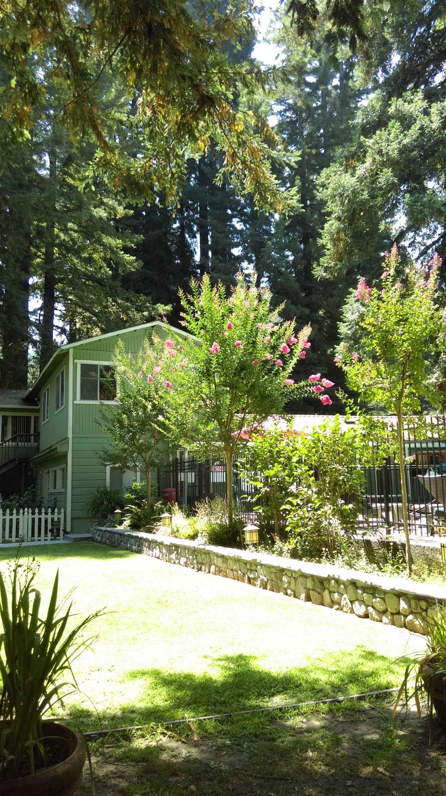 Redwood Resort RV Park | 150 Grove St, Boulder Creek, CA 95006, USA | Phone: (831) 338-3413