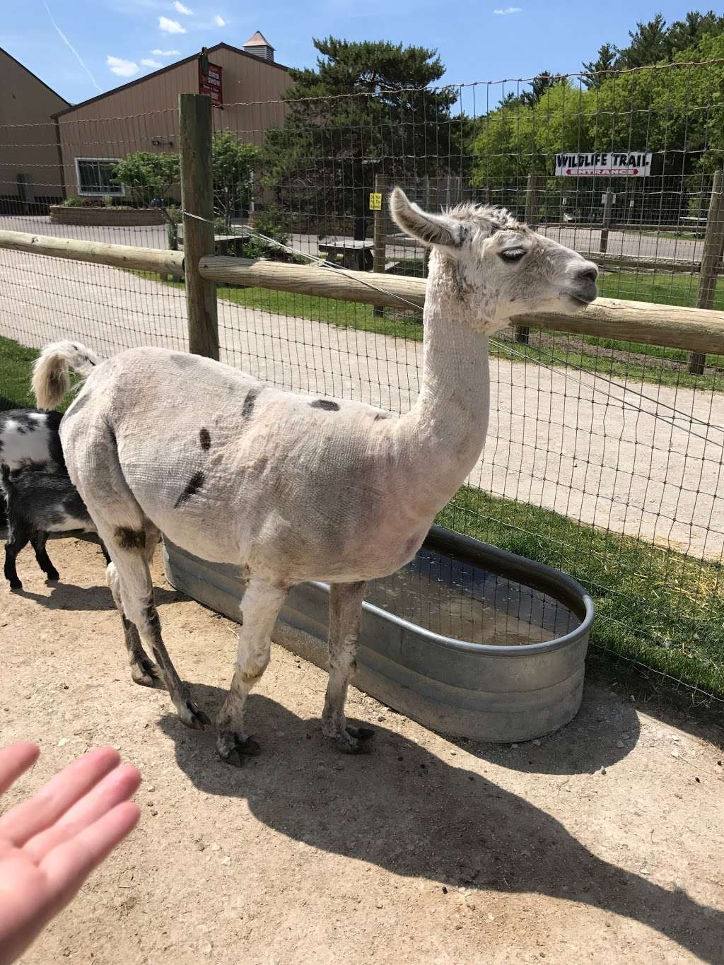 Animal Gardens, Delavan, WI | 5065 WI-50, Delavan, WI 53115, USA | Phone: (262) 728-8200