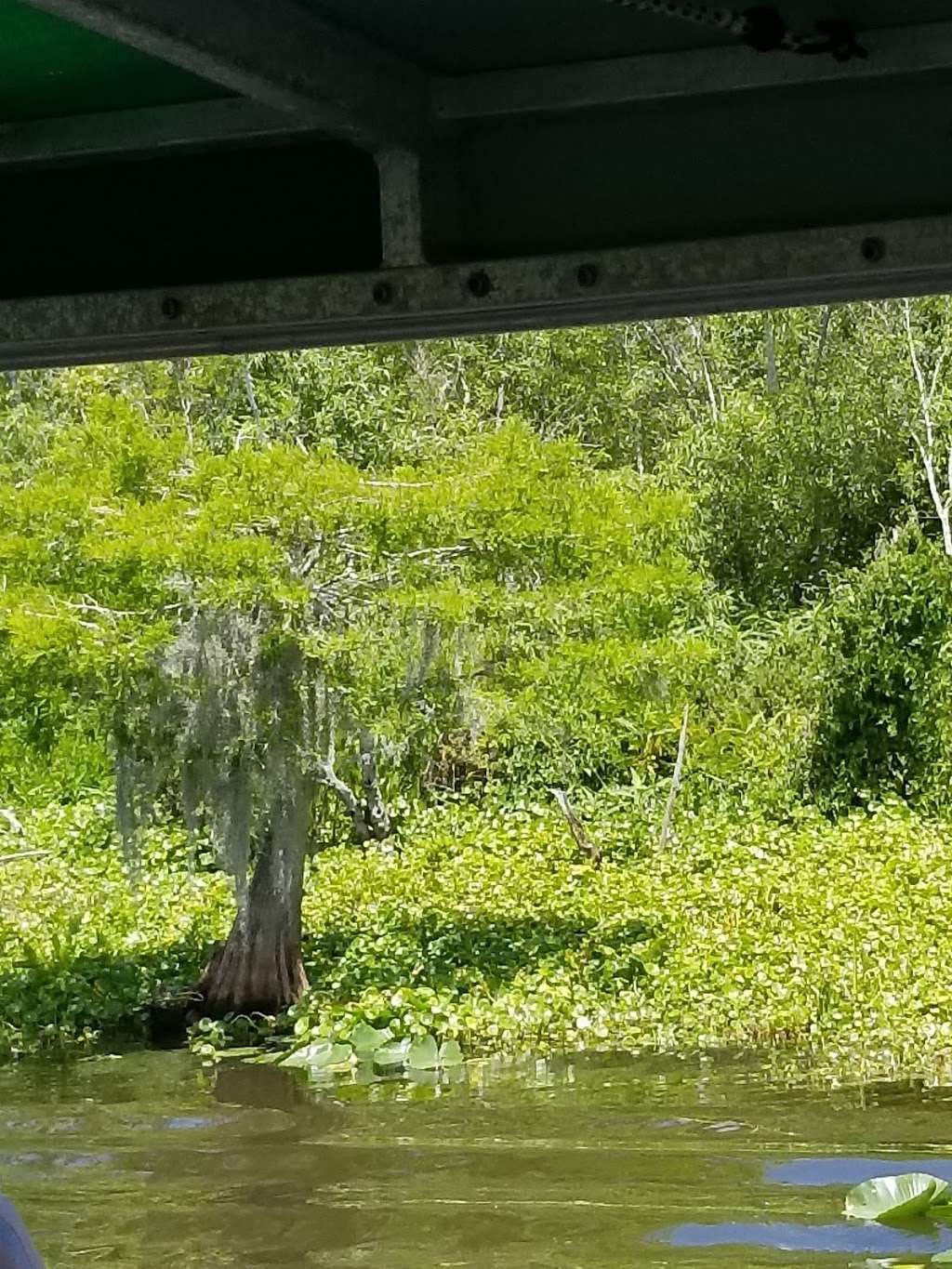 Fountain of Youth Eco/History Tours | 601 Ponce Deleon Blvd State Park De Leon Springs 3399, De Leon Springs, FL 32130, USA | Phone: (386) 837-5537