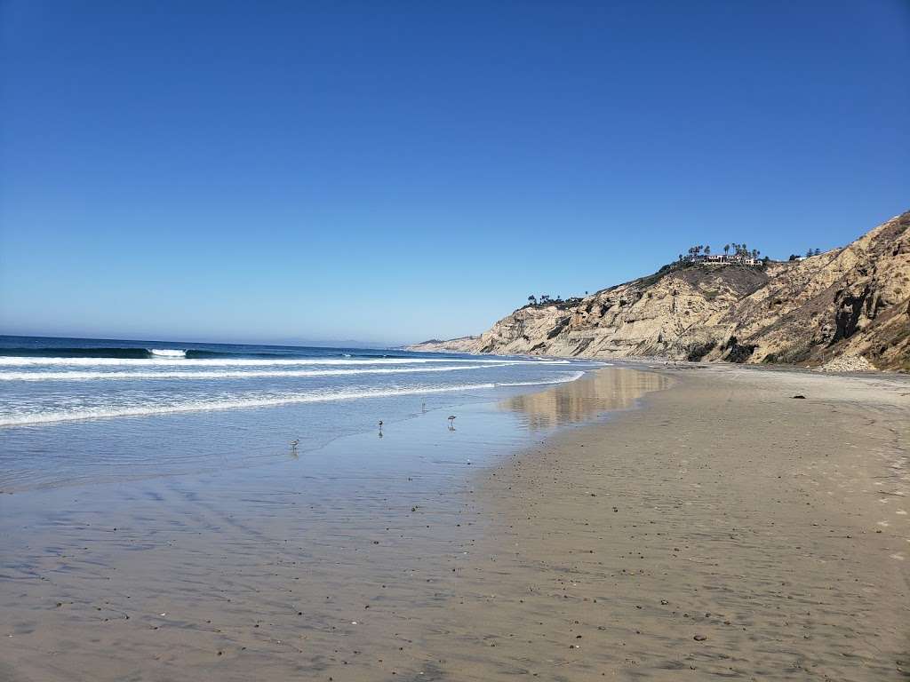 Blacks Beach Trailhead | 9601 La Jolla Farms Rd, La Jolla, CA 92037, USA