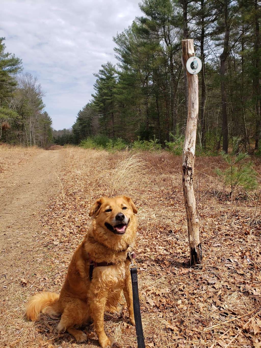 Bay Circuit Trail | 199 Crooker Pl, Hanson, MA 02341, USA