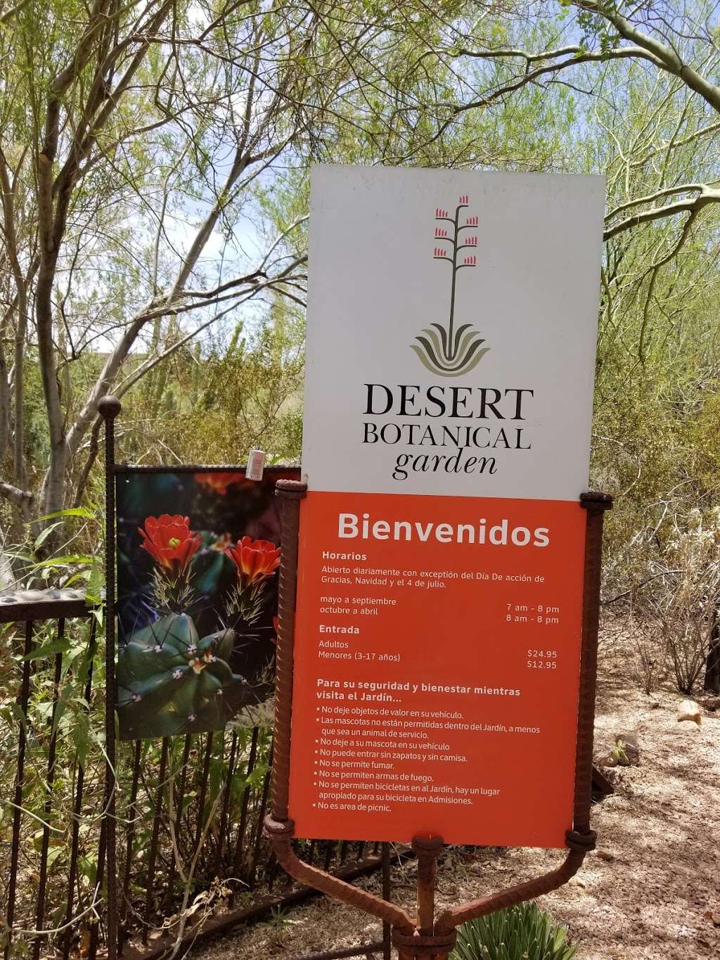 Desert Botanical Garden | Phoenix, AZ 85008, USA