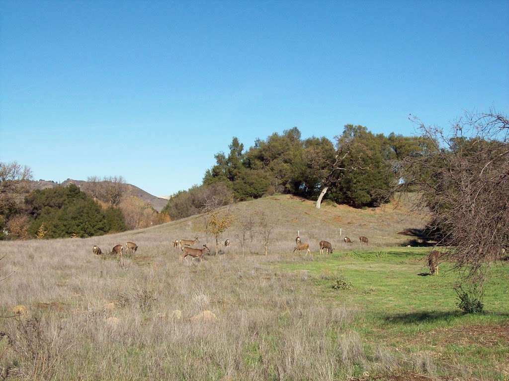 Malibu Creek State Park Trailhead SMHC | 1925 Las Virgenes Rd, Calabasas, CA 91301, USA