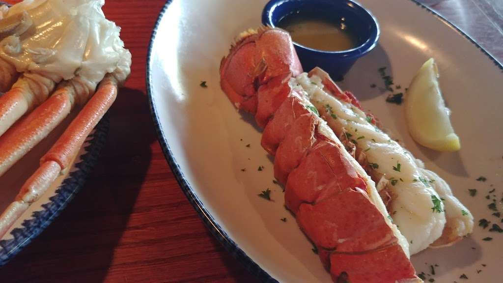 Red Lobster | 230 Cypress Gardens Blvd, Winter Haven, FL 33880, USA | Phone: (863) 294-8844