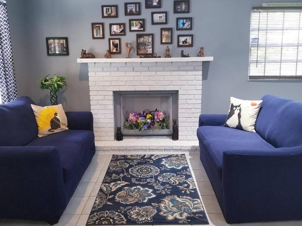 VCA Carrollwood Cat Hospital | 13305 Orange Grove Dr, Tampa, FL 33618, USA | Phone: (813) 963-6612