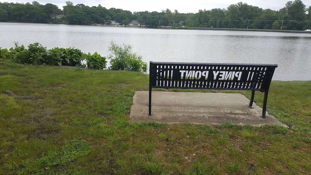 Piney Point Picnic Area | Piney Point, Bridgeton, NJ 08302, USA | Phone: (856) 453-1675