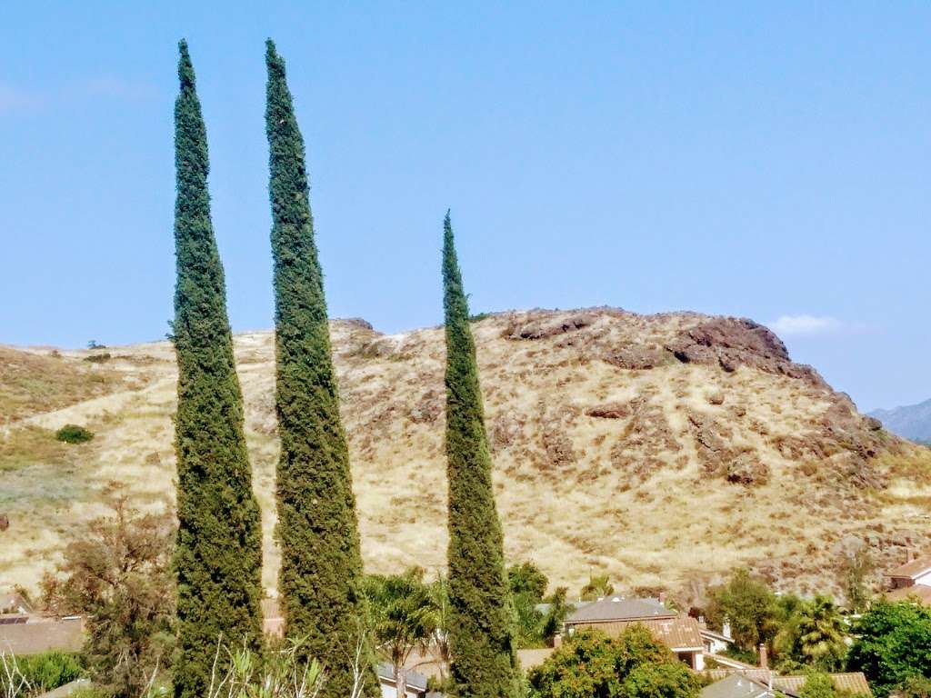 Lizard Rock | Thousand Oaks, CA 91360, USA