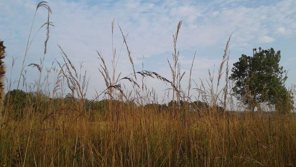 Boger Bog Conservation Area | 2100 Cherry Valley Rd, Bull Valley, IL 60098, USA | Phone: (815) 338-6223