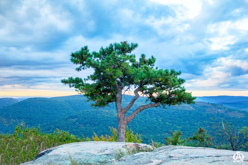 Bear Mountain Peak | Major Welch Trail, Tomkins Cove, NY 10986, USA