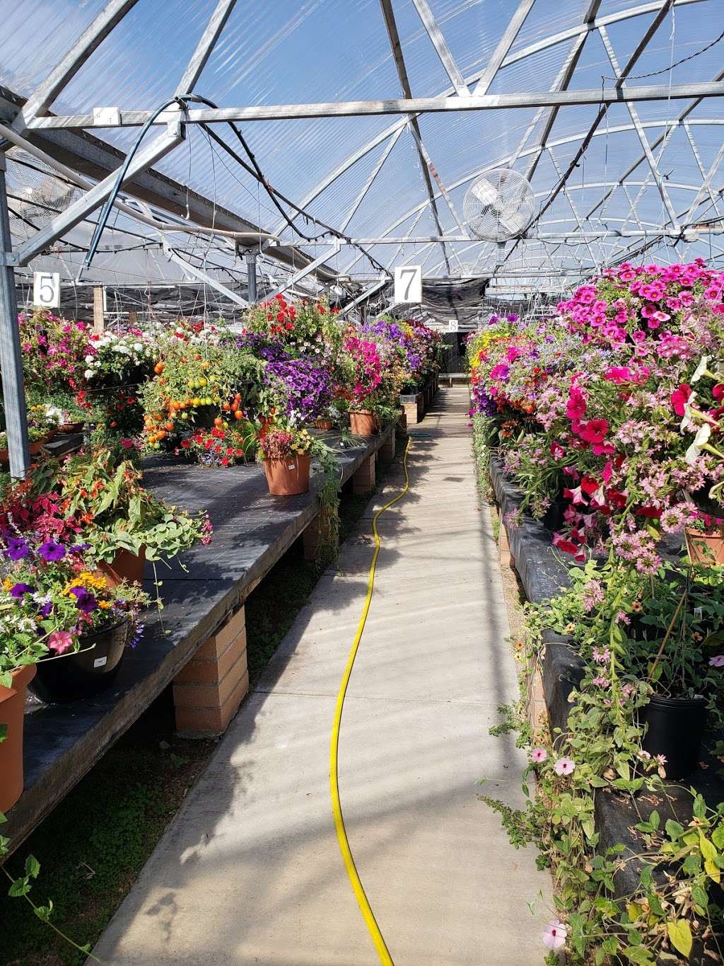Durans Hobby Acres Greenhouse | 15591 N 107th St, Longmont, CO 80504, USA | Phone: (303) 257-0195