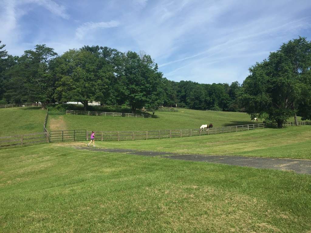 Wheaton Park Stables | 1101 Glenallan Ave, Wheaton-Glenmont, MD 20902, USA | Phone: (301) 622-2424