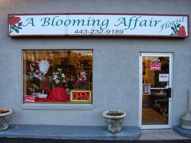 A Blooming Affair | 34205 Old Ocean City Rd, Pittsville, MD 21850, USA | Phone: (443) 232-9189