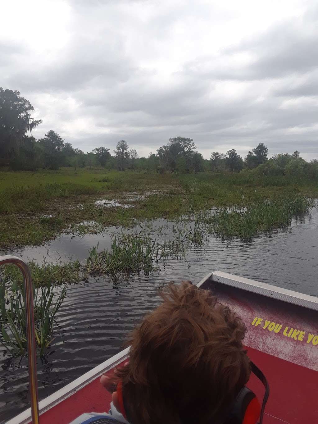 ALLIGATORS UNLIMITED AIRBOAT NATURE TOURS | 14400 Reese Dr, Lake Wales, FL 33898, USA | Phone: (863) 696-0313