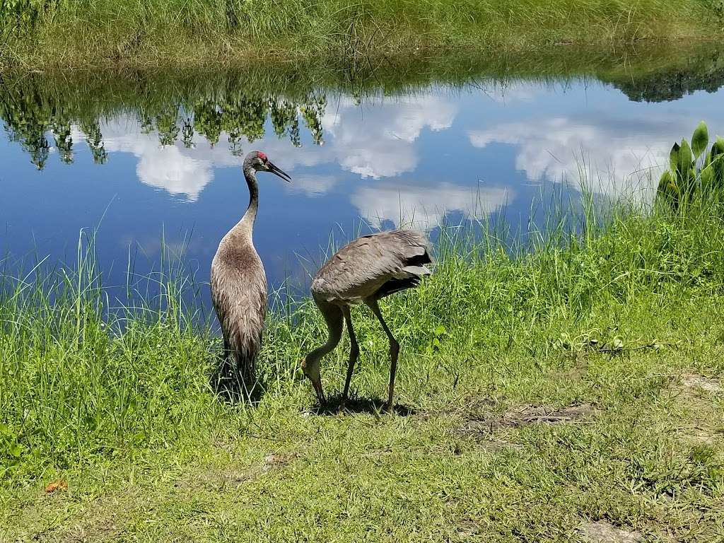 Lake Woodruff National Wildlife Refuge | De Leon Springs, FL 32130 | Phone: (386) 985-4673