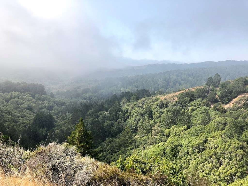 Muir Woods Overflow Parking Lot | Muir Woods Rd, Mill Valley, CA 94941