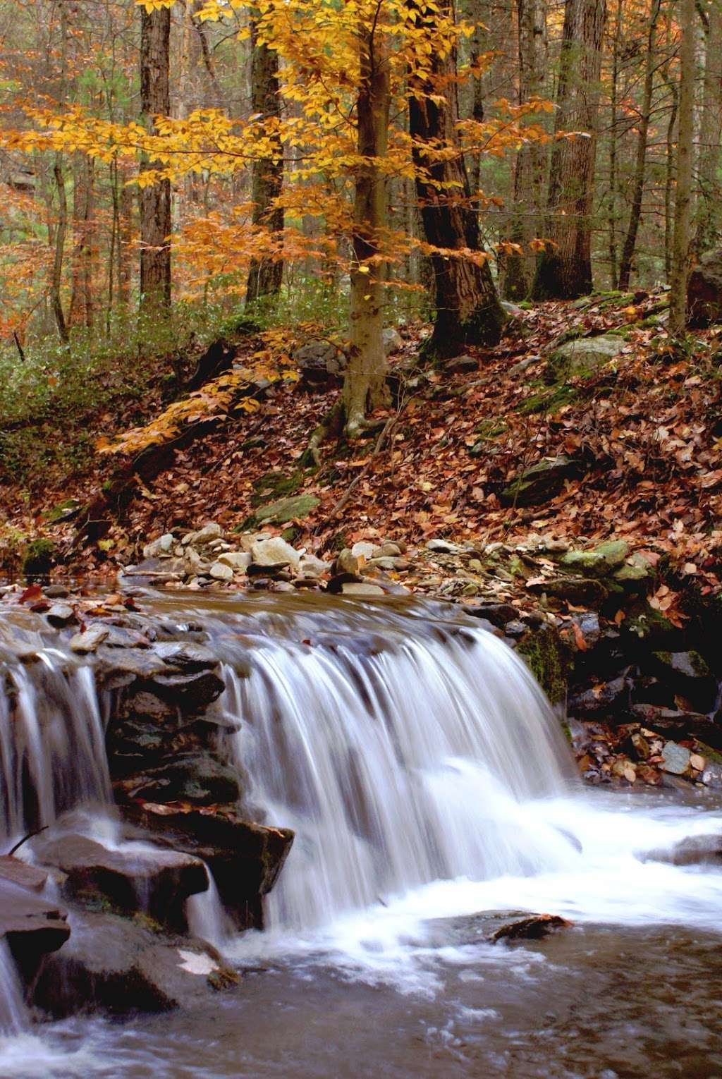 Granville Galleries | 7500 Creager Rd, Waynesboro, PA 17268, USA | Phone: (717) 759-0526