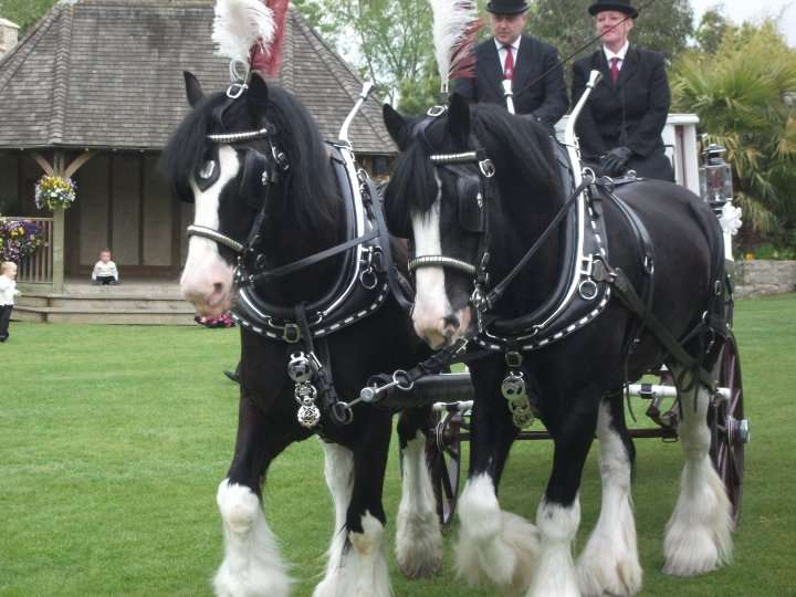 White Horse Farm Carriages | White Horse Farm, White Horse Lane, Harvel, Meopham, Gravesend DA13 0UE, UK | Phone: 07711 033064