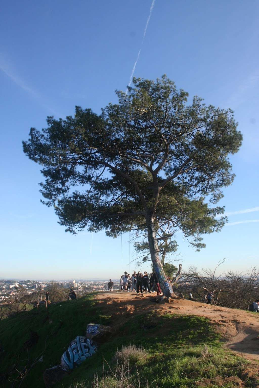 Elysian Park | Los Angeles, CA, USA