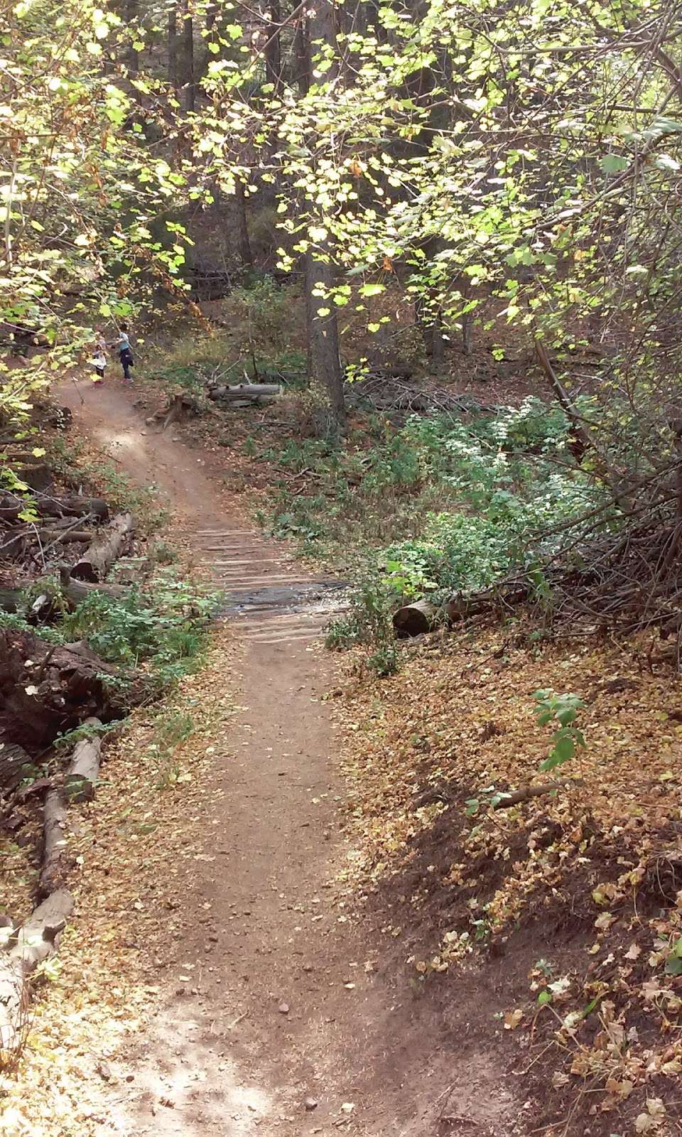 Enchanted Forest Trailhead | 196 Lookout Mountain Rd, Golden, CO 80401, USA