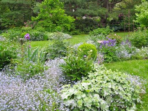 Forget-Me-Not Garden Services | 78 Western Ave, Essex, MA 01929, USA | Phone: (978) 768-7160