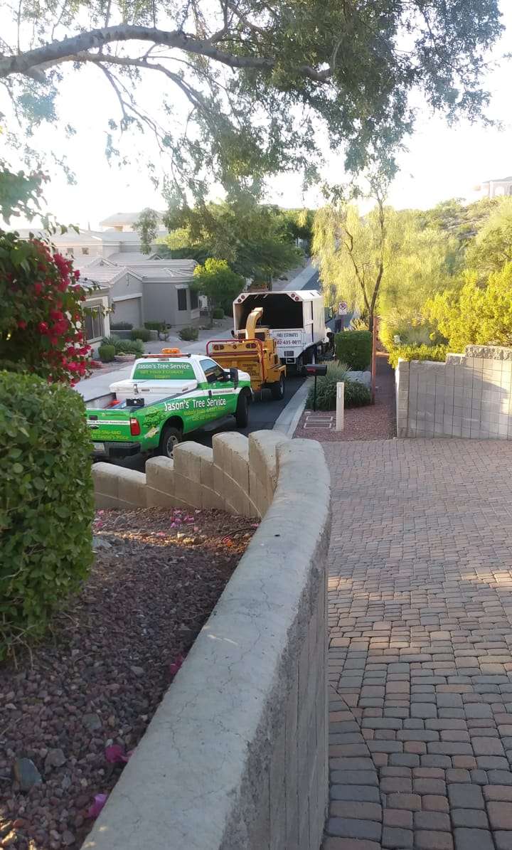 Gopher Travel | 12833 N 18th St, Phoenix, AZ 85022, USA | Phone: (602) 996-1017