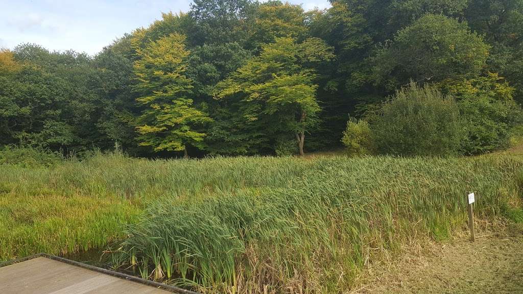Loughton Brook Storage Pond | 5 Staples Rd, Loughton IG10 1HP, UK
