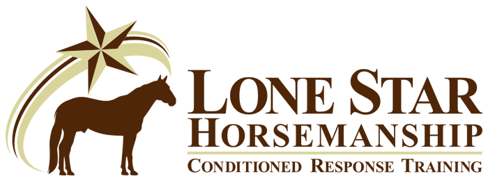 Lone Star Horsemanship, Inc. | 1819 S Cherry St, Tomball, TX 77375, USA | Phone: (713) 302-9661