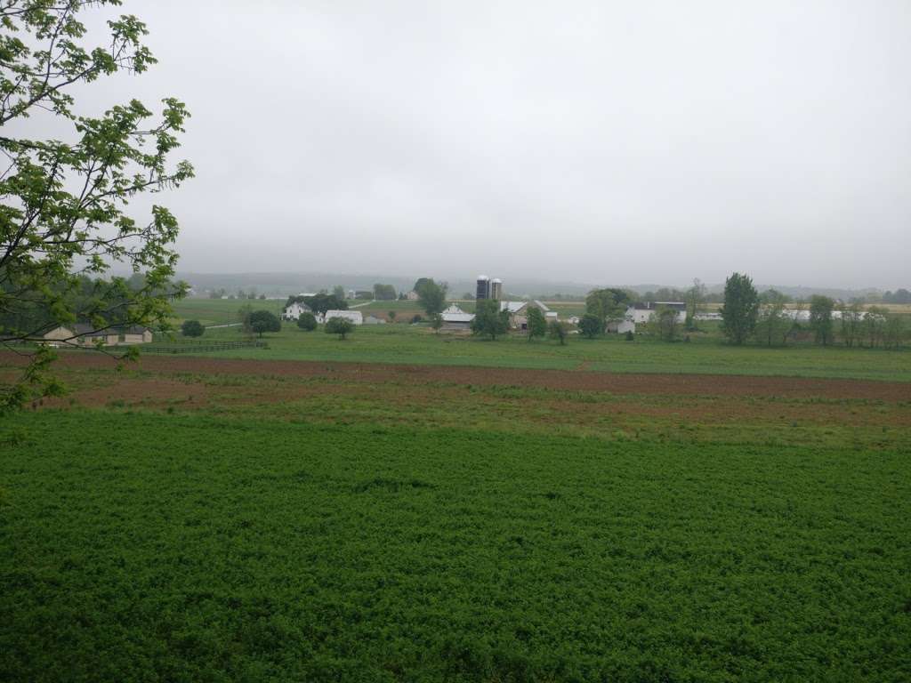 Carpenters Cemetary - Ferree | 67-99 Black Horse Rd, Paradise, PA 17562