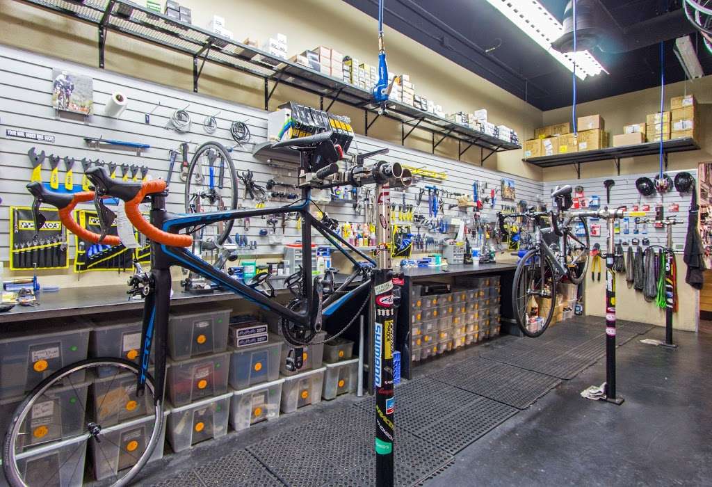 Global Bikes & E-Bikes - Ahwatukee | 3636 E Ray Rd #6, Phoenix, AZ 85044, USA | Phone: (480) 706-0858