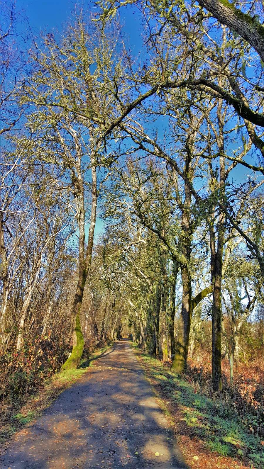 West County Regional Trail, Forestville, CA | Front St, Forestville, CA 95436, USA